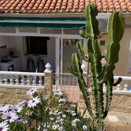 La Siesta Apartment Benidorm Bagian luar foto